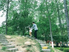 -合肥滨湖国家森林公园