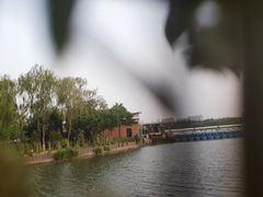 -大兴滨河森林公园