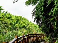 -沐川竹海旅游景区