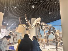 -国家自然博物馆