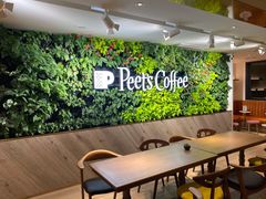 -Peet's Coffee皮爷咖啡(大学路店)