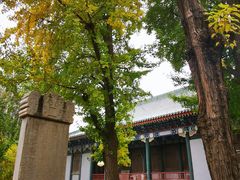 -国家图书馆·古籍馆