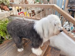 -Vanillacafe香草咖啡(银海大世界店)