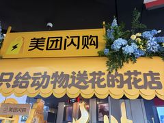 -寰映影城(朝阳合生汇杜比影院店)