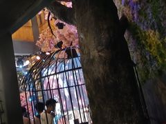 -时光里音乐餐酒吧(祥云店)
