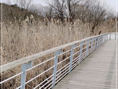 -西湖风景区-江洋畈生态公园