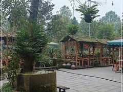 -青城甲(青城山店)