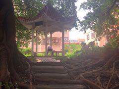-小洲村