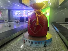 -张家界荷花国际机场