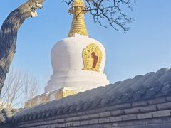 -护国法轮寺