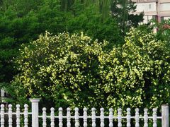 -长春市南湖公园