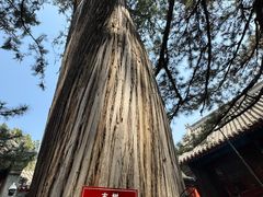-红螺寺