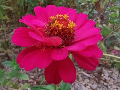 -龙潭大峡谷自然风景区