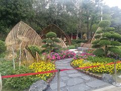 -广州市白云山风景名胜区