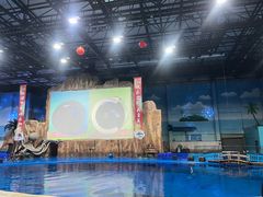 -华夏文旅海洋公园