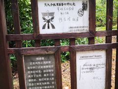 -东平国家森林公园