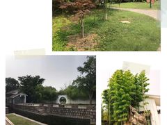 -上海共青森林公园