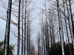 -武昌江滩