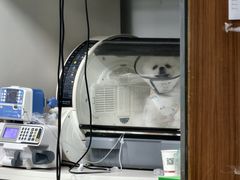 -奈斯宠物医院·核磁CT·异宠专科·内镜(中南店)