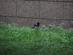 -辽宁大学(崇山校区)