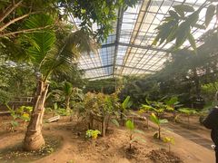 -呀路古热带植物园