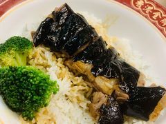 金牌黑松露烧鹅-肥韬茶餐厅(南山mini店)