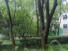 -上海市保健医疗中心