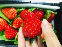-盒马鲜生(宝地店)