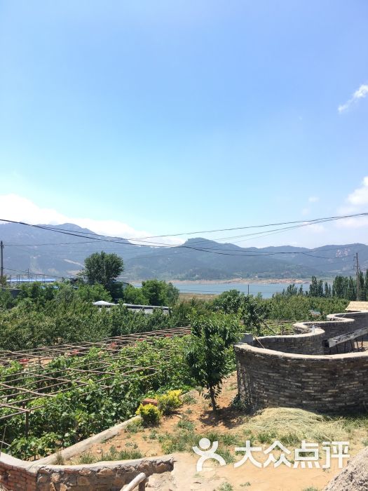 伐木累幸福农场-图片-青岛休闲娱乐-大众点评网