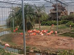 -无锡动物园·太湖欢乐园
