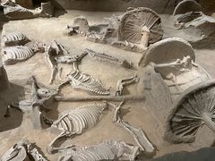 -洛阳周王城天子驾六博物馆