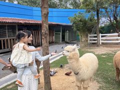 -云栖山谷露营地·团建年会·生日派对