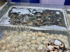 -亚马逊海鲜自助(梅溪湖步步高店)