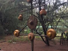 -北海金海湾红树林生态旅游区