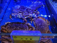 -新海渔港·胶东海鲜家常菜·家宴(奥体中心店)