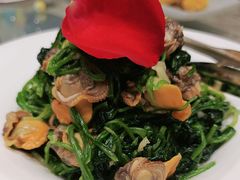 -海派美食·家宴海鲜青岛菜·石锅鲽鱼头(东方城店)