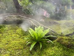 -上海植物园-4号门售票处
