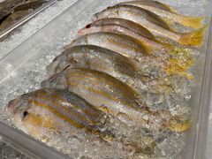 -Isla Sugbu Seafood City