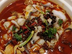 -蜀腾川·火锅鱼.烤鱼(新世界城店)