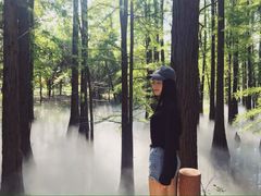 -东湖落雁景区