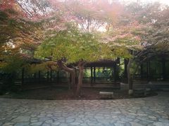 -团城山公园