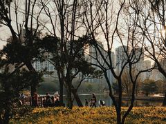 -和平公园