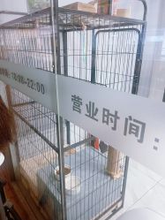 点击看大图 -镁连社·美联社