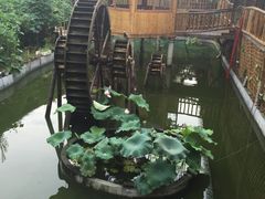 -老字号农家宴
