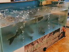 -皖小斌·小葱伴豆腐(丰收路店)