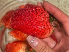 -镇江龙·火锅串串(武侯祠店)