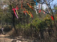 -东白山