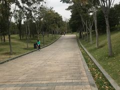 -牛岗山公园