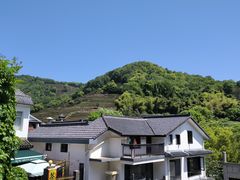 -龙井村
