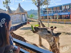 -西霞口神雕山野生动物世界